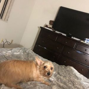 Meet your Posher, Gabrielle